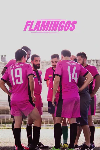 Flamingos poster