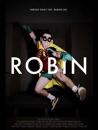 ROBIN poster