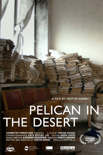 Pelican in the Desert poster
