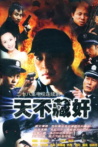 天不藏奸 poster