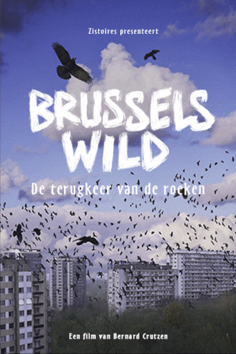 Bruxelles Sauvage - Le retour des corbeaux poster