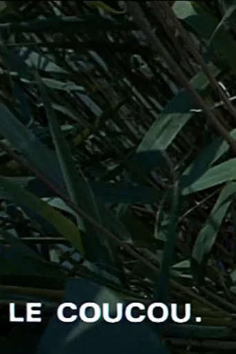 Le coucou poster