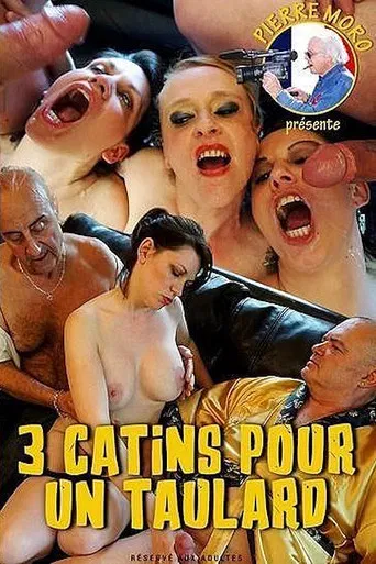 3 Catins pour un Taulard poster