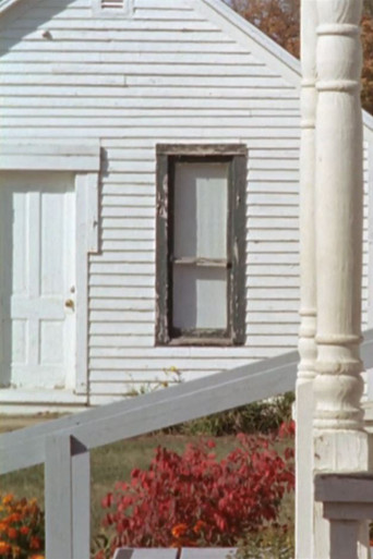 The Mennonite Federation poster