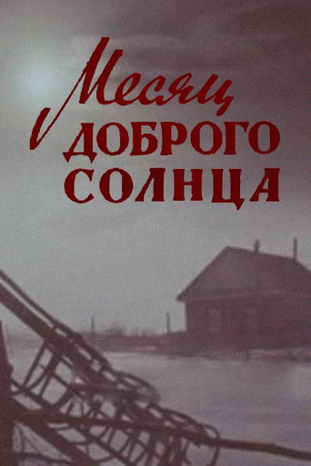 A Month of Good Sun poster