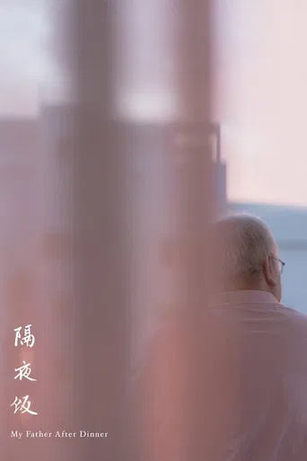 My Father After Dinner poster