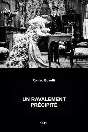 A Hasty Renovation poster