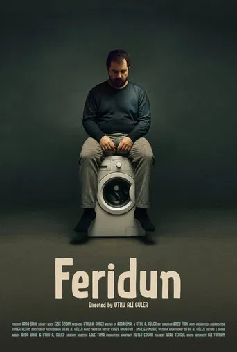 Feridun poster