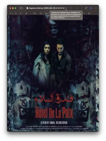 Hôtel de la Paix poster