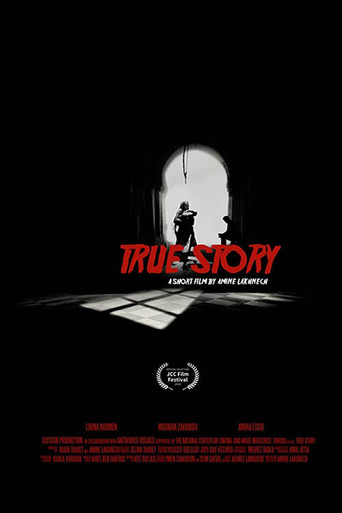 True Story poster