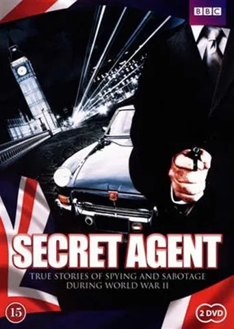 Secret Agent poster