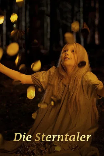 Die Sterntaler poster