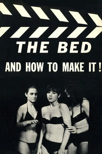 The Bed and How to Make It! poster
