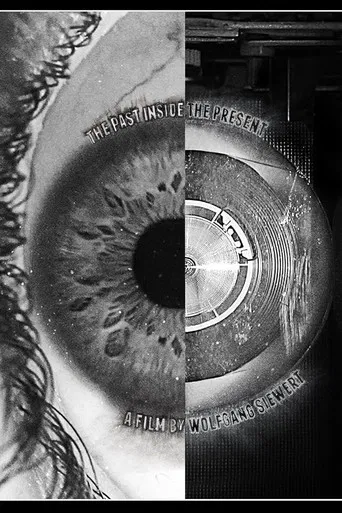 The Past Inside The Present poster