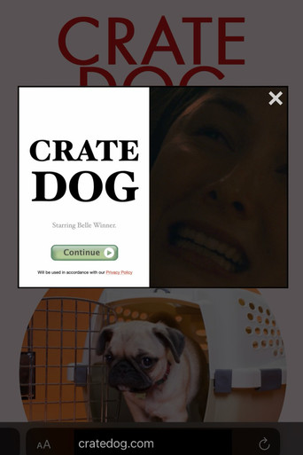 Crate Dog poster