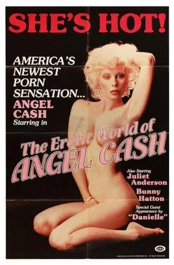 The Erotic World of Angel Cash poster