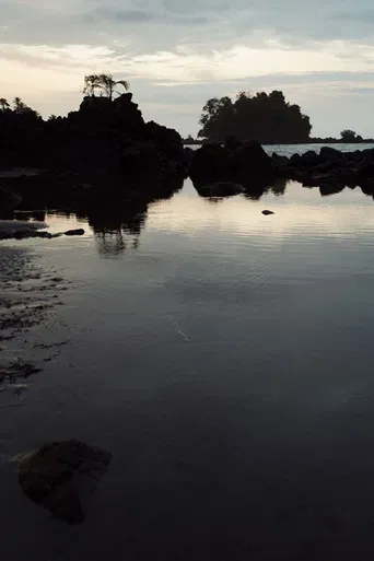 Memoria, Boy at Sea poster