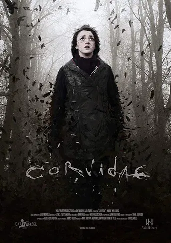 Corvidae poster