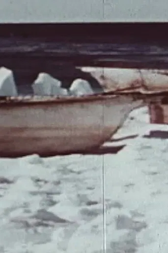 Description of a Struggle poster