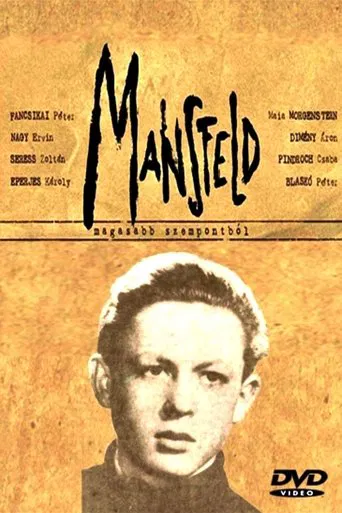 Mansfeld poster
