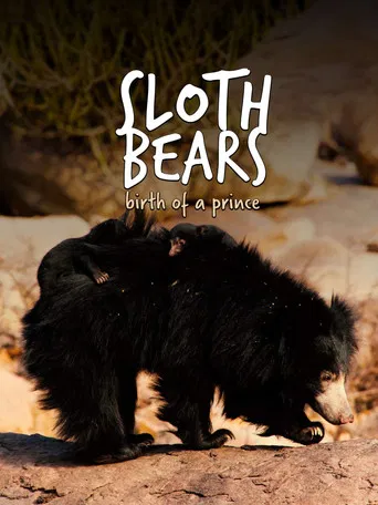 Sloth Bears: Birth of a Prince poster