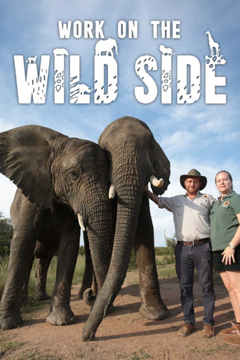 Work on the Wild Side poster