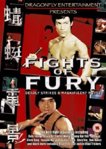 Fights of Fury poster