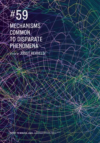 Mechanisms Common to Disparate Phenomena: #59 poster