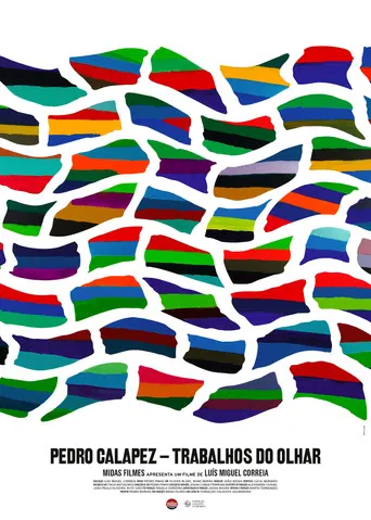 Pedro Calapez: Trabalhos do Olhar poster