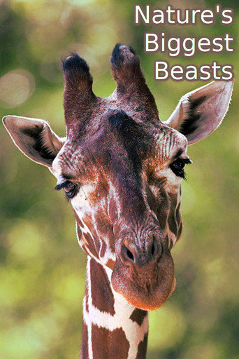 Nature's Biggest Beasts poster