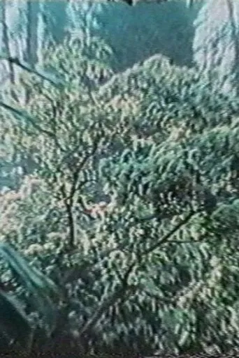 The Wind Blows Where It Wishes poster