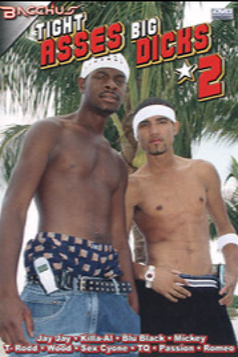 Tight Asses Big Dicks 2 poster