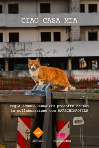Ciao casa mia poster