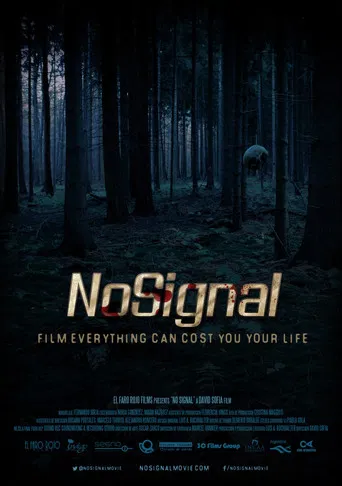 No Signal poster