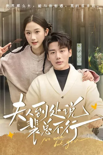 夫人到处说裴总不行 poster