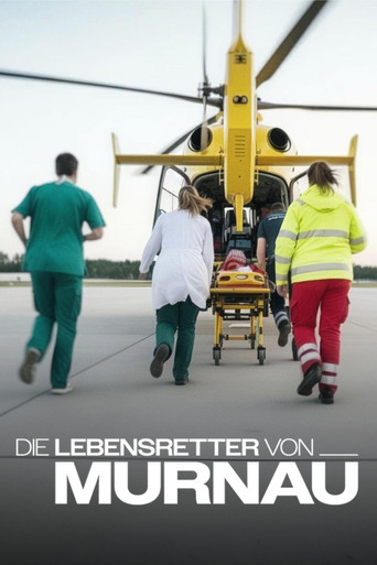 Die Lebensretter von Murnau poster