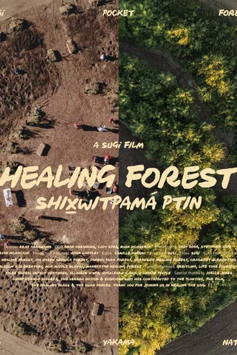 Healing Forest poster