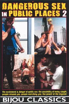 Dangerous Sex in Public Places 2 poster