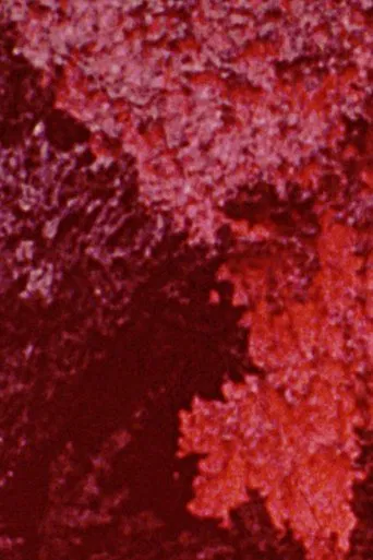 600 Minutes: Magenta poster