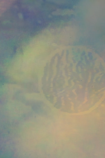 The Sound Of A Finished Kiss poster