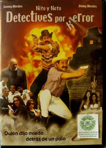 Detectives por error poster