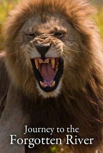 Journey to the Forgotten River poster