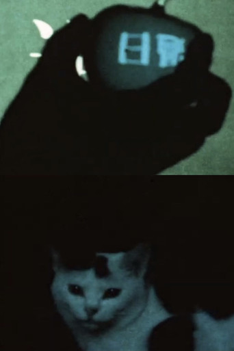 some days ago poster