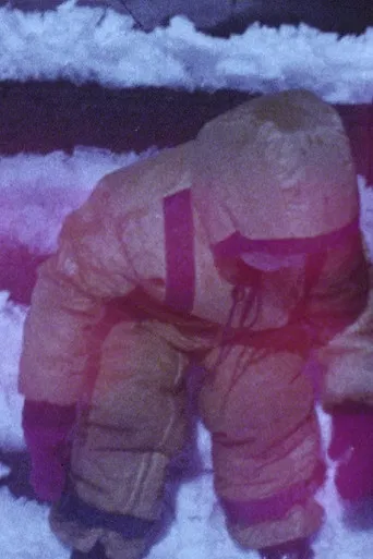 Diary 1974-1975 poster