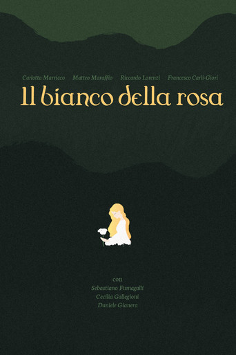 il bianco della rosa poster