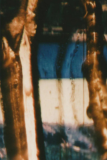 Picture Particles poster