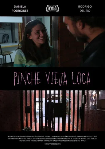 Pinche Vieja Loca poster