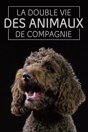 The Secret Life of Pets poster