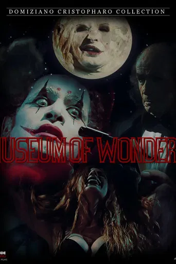 The Museum Of Wonders poster