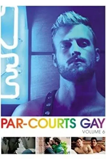 Par-courts Gay, Volume 6 poster